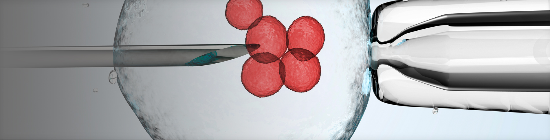 Exosomes Therapy
